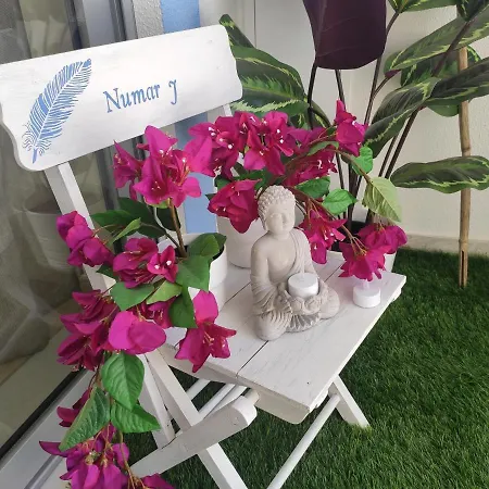 Numar J -manta Rota *